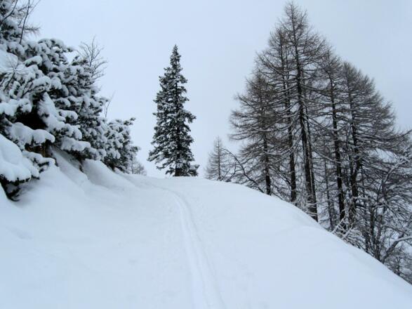 Dann führt die Route wieder neben der Schiroute auf der Rückseite des Hanges aufwärts.