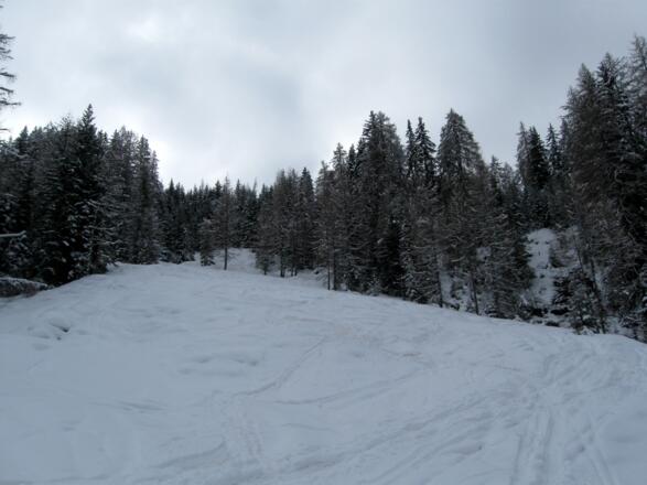 Gleich zu Beginn geht es steil über eine Wiese aufwärts.