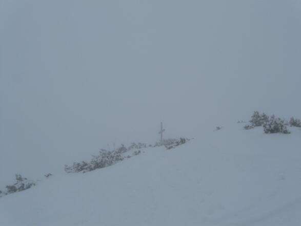 .... erreicht den flachen Gipfelaufbau.