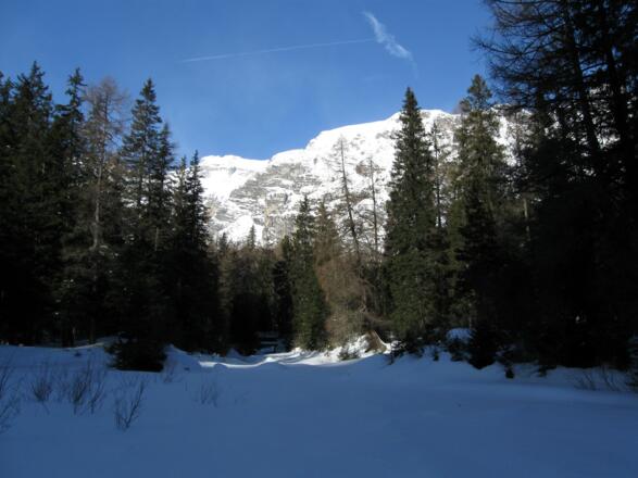  Und dann wieder über kleine Waldschneisen. Varianten gibt es genügend.
