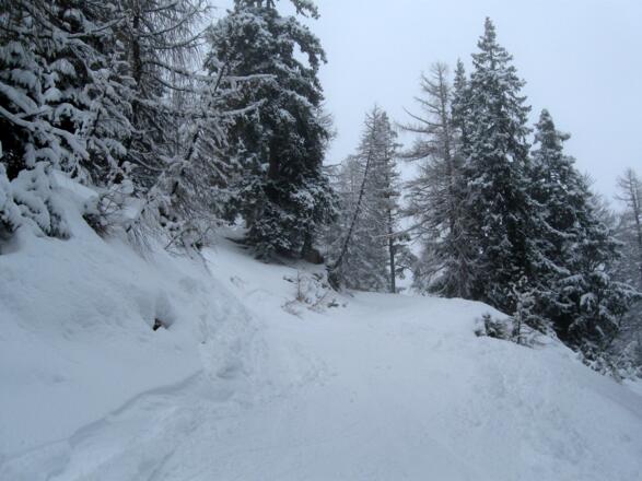Schöne Aufstiegsroute abseits der Piste.