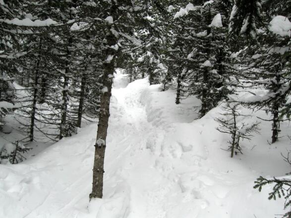 Wunderschöne Route durch den tief verschneiten Wald.