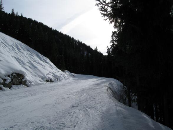 Weiter über die schön angelegte Piste Nr. 9.