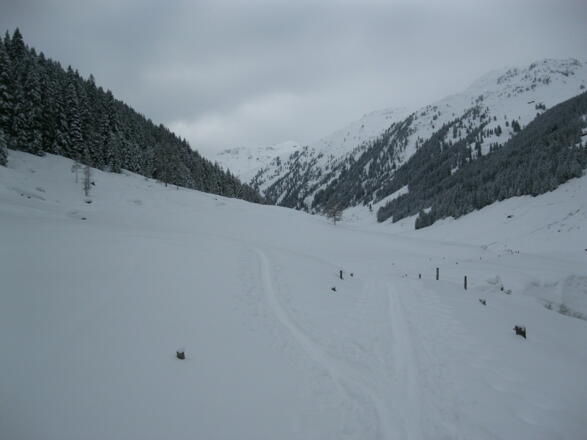 Abzweigung auf den Sommerwegs in den Wald
