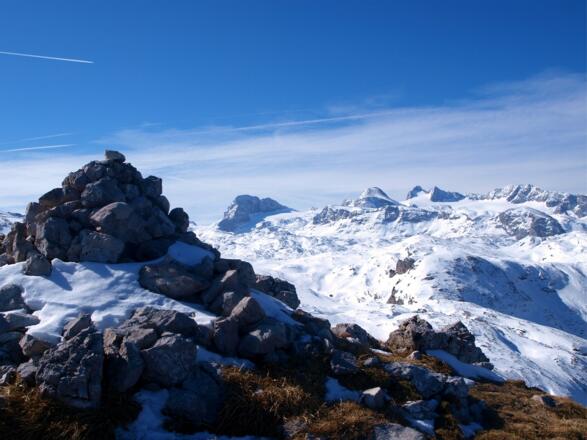 Dachsteinblick  vom Däumelkogel