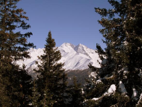 Begleitet vom Panorama des Olperer.