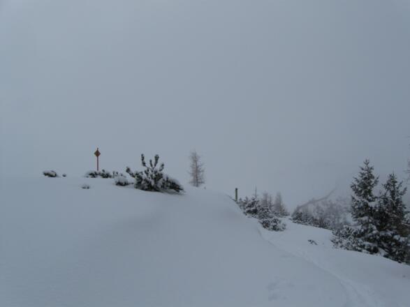 So nähert man sich ohne Orientierungsschwierigkeiten dem Gipfel. Hinten im Nebel ist der Zaun erkennbar, neben dem man schlußendlich zum Gipfel gelangt.
