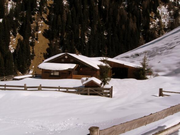 Zurück bei der Blasigleralm (Niederleger), nun in der Sonne.