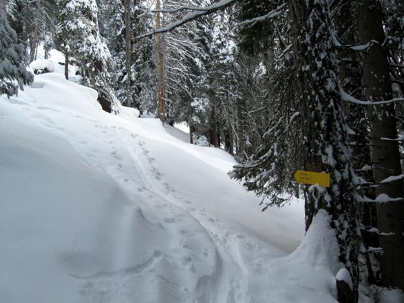 Wegweiser zur Zirmahütte und Rauhen Kopf.