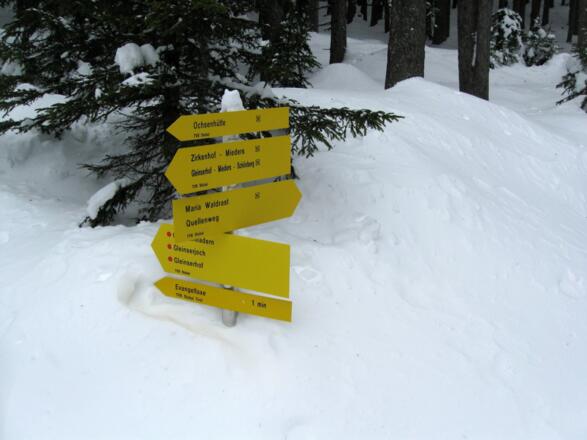 Schilderbaum im Bereich der Höhenloipe. 