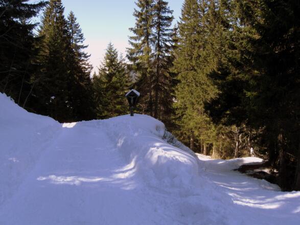 Hier benutzt man am besten die Forststraße für die Abfahrt. Der Hohlweg ist meinstens vereist. Beide Varianten führen zum Ausgangspunkt.