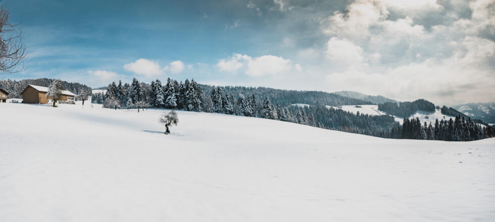 Winterlandschaft Sulzberg