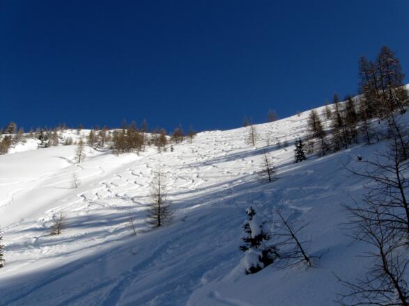 Zurück im lichten Waldgürtel.