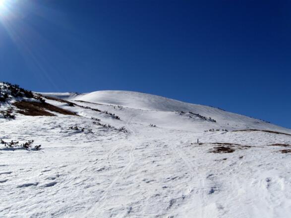 Oben angekommen geht es auf diesen Rücken zu. Der Gipfel ist noch nicht in Sicht. Er befindet sich links dahinter.