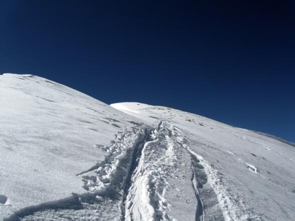 Die letzten Meter auf die Scheibenspitze führen auf der Nordseite des Grates zum Gipfelkreuz
