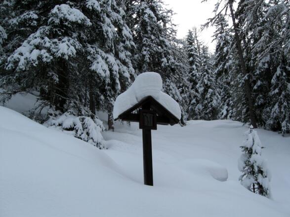 Zurück geht es entlang des Kreuzweges / Rodelbahn &quot;Kalte Herberge&quot;.