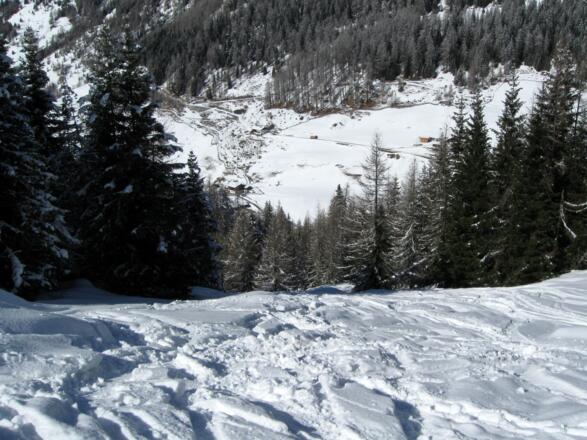 Gleich darauf wird&#039;s wieder steiler und der Wald dichter und schließlich ....