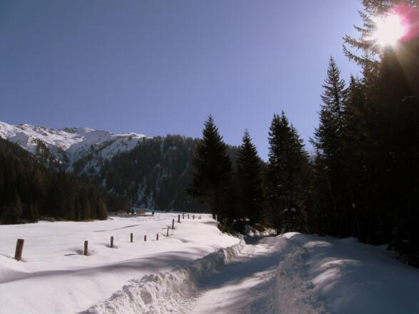 Unterwegs in den Almböden der Weirichalm.