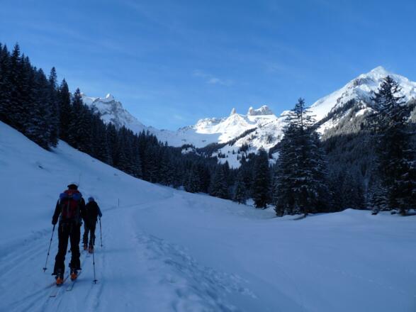 Bis zur Lindauer Hütte folgen wir der Rodelbahn, können diese aber immer wieder über den Sommerweg abkürzen.