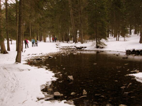 Fischweiher im Talboden beim Rückweg.