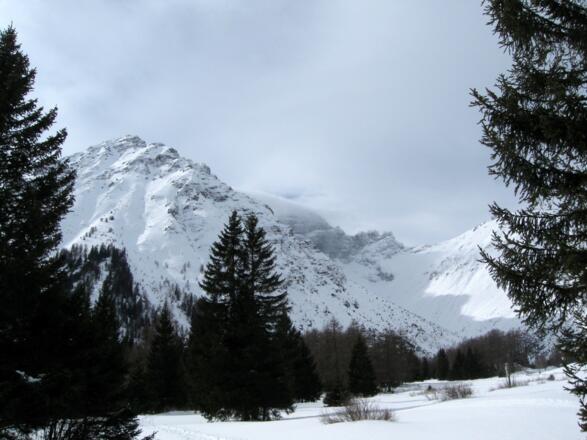 Rückblick zum Obernberger Tribulaun und Gstreinjöchl. Der Rückweg führt wieder über die schönen Wiesen links des Seebaches.