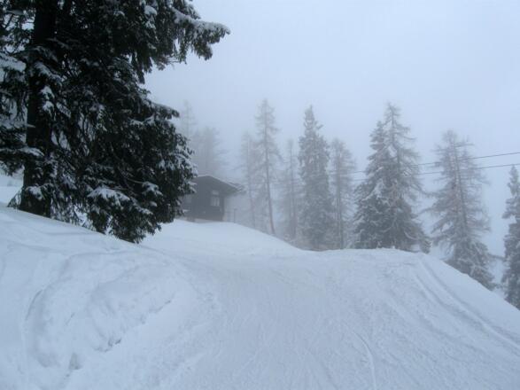 Beim dem Lifthäuschen verläßt man die Piste und steigt abseits des Pistenrummels gemütlich im Wald aufwärts.