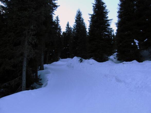 Auf der besagten Rodelbahn geht es nun anfangs eher flach aufwärts.