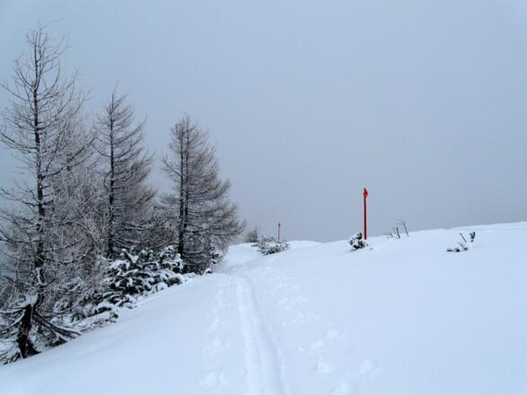 Rückblick über die Aufstiegsspur entlang der Markierungen der Schiroute.