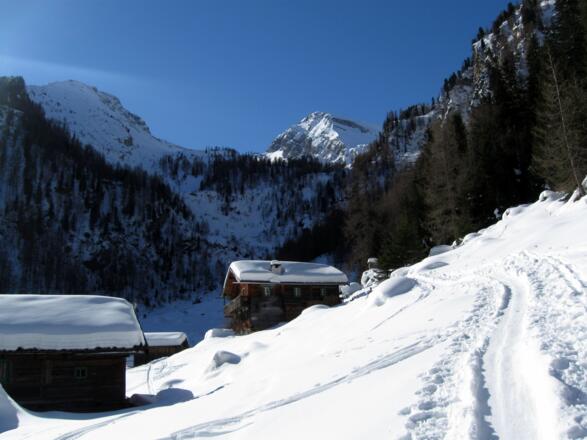 Die Bloaderalm. Im Hintergrund deutet sich der tiefe Einschnitt an in dessen Richtung man aufsteigt.