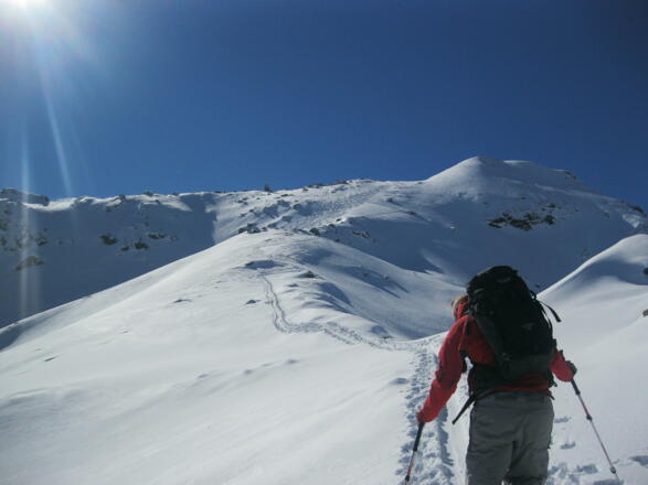 An der Öfelerscharte, der Gipfelhang ist schon sichtbar