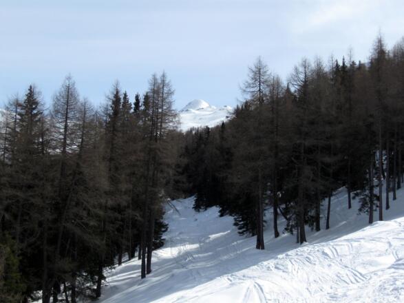 Rückblick über die Abfahrtsschneise. Hinten in der Bildmitte noch einmal der schöne runde Windbichl.