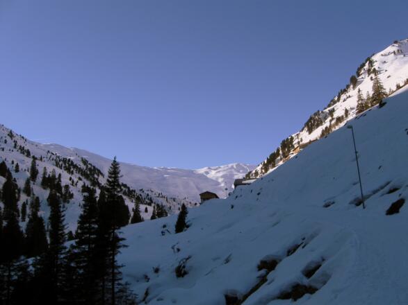 Man erreicht in etwa einer halben Stunde den Pfundsalm Niederleger.