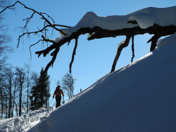 Endlich Sonne! Der untere Teil des Anstieges verläuft immer im Schatten!