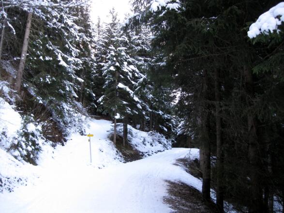 Bei dieser Abzweigung verläßt man die Rodelbahn.