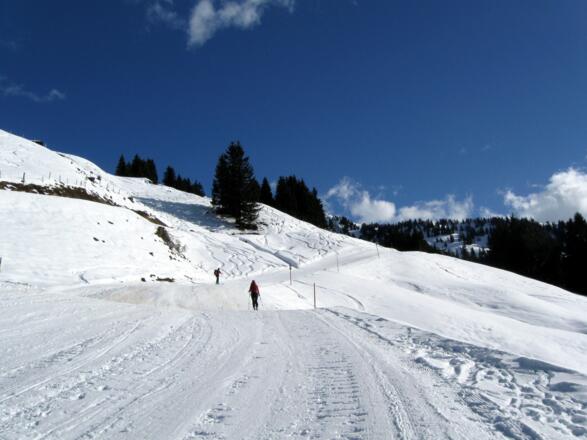 Oberhalb der Waldgrenze - unterhalb der Bichlalm.