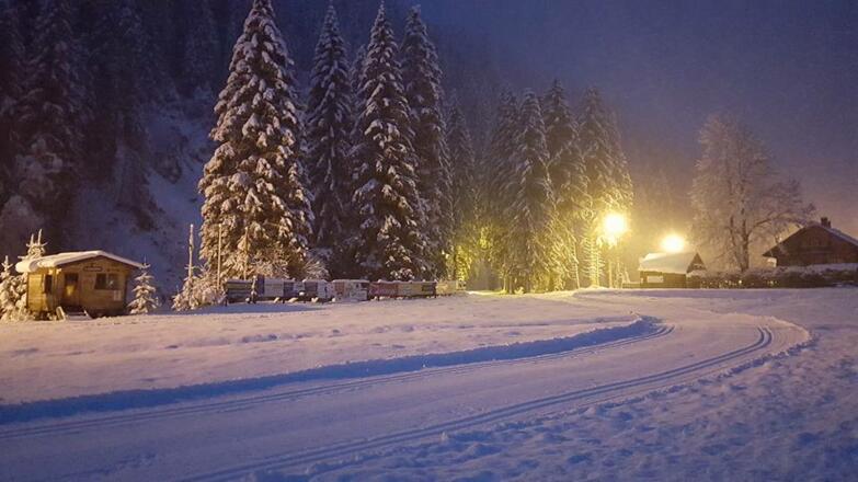 Die Langlaufloipe abends bei Flutlicht