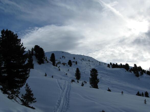Der Wald wird lichter und die Hütten des Fiderissalm Hochlegers zeichnen sich oben ab.