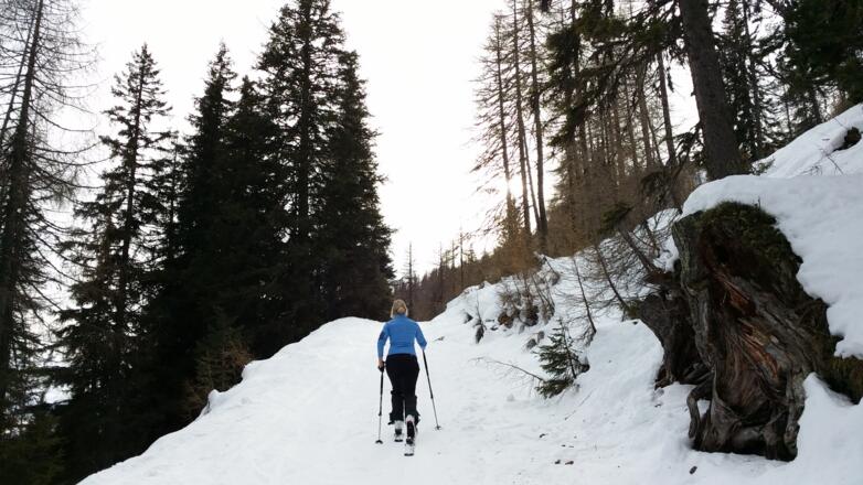 Weg vom Parkplatz Richtung Sichelwand