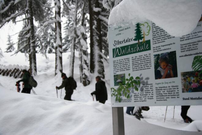 Schneeschuhwandern am Kristberg