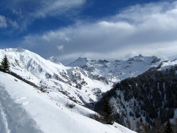 Beim Aufstieg zur Zehenter Alm. Im Talschluß eröffnet sich der Reigen aus Lizumer Rechner , Naviser Rechner, Lizumer Sonnenspitze, den Tarntaler Köpfen und dem Klammer Schober.