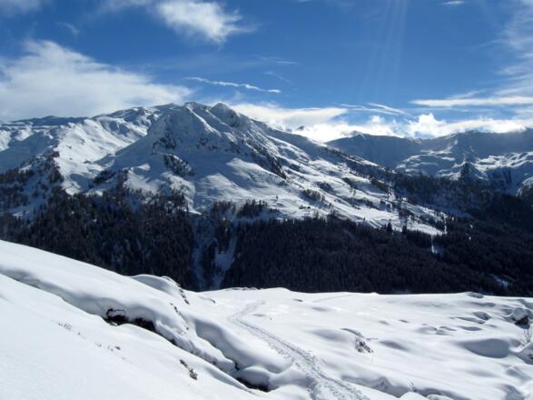 Wünderschöne Böden oberhalb der Zehenter Alm. Auf der gegenüberliegenden Talseite: das Naviser Kreuzjöchl.