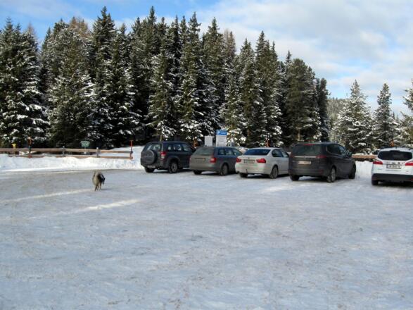Großer Parkplatz am Sattele.