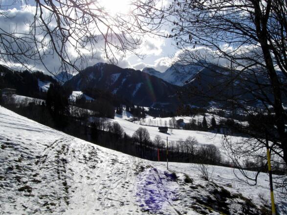 Die Route ist schön mit Schneestangen ausgesteckt.