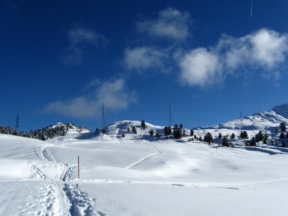 An dieser Stelle teilt sich die Spur. Rechts geht es zum Pirchkogel.