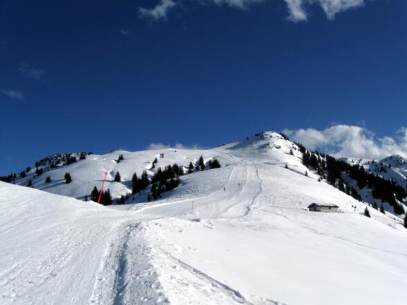 Auf dem Sattel zwischen Hochetzkogel und Stuckkogel.