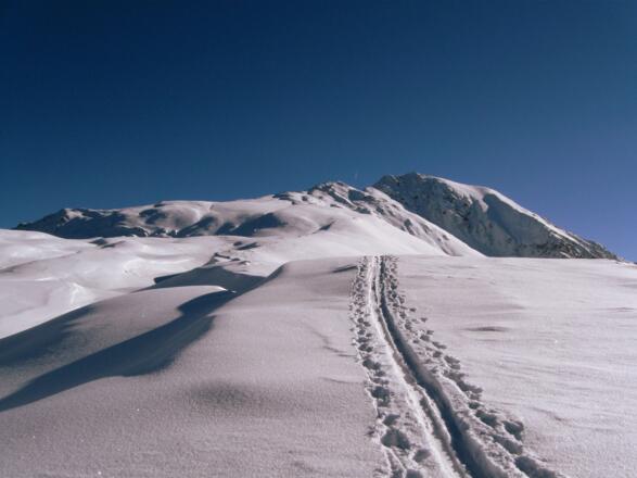 Man geht immer auf das mächtige Felsmassiv des Pirchkogel zu.
