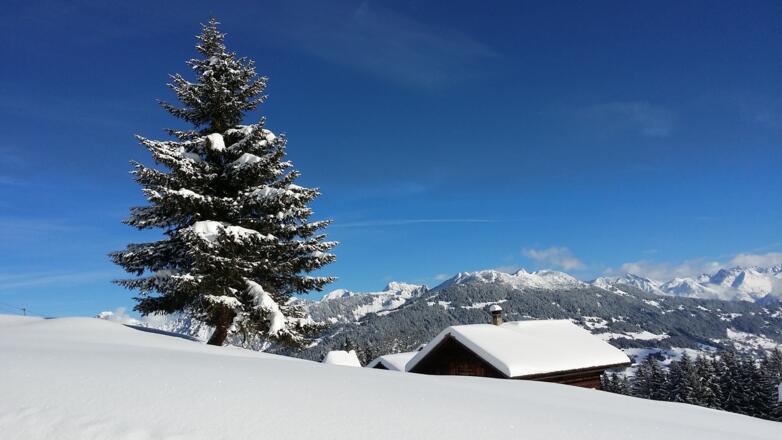 Winterlandschaft auf Matschwitz