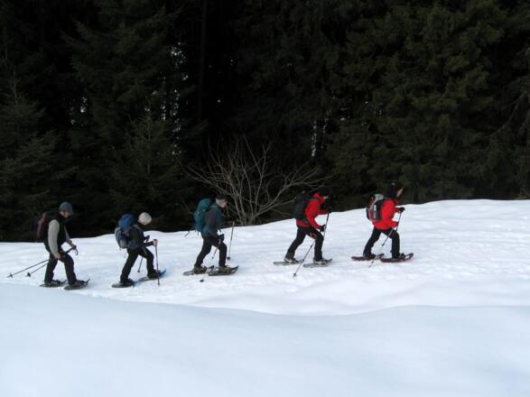 Schneeschuhgruppe kurz vor Eintreffen auf der Hochsinnalm.