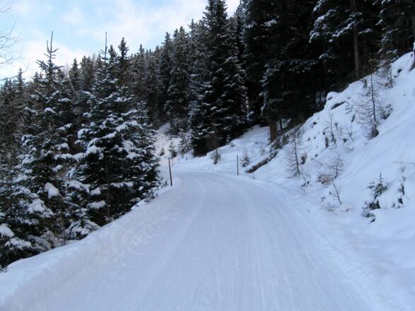 Zu Beginn geht es über die Rodelbahn aufwärts.