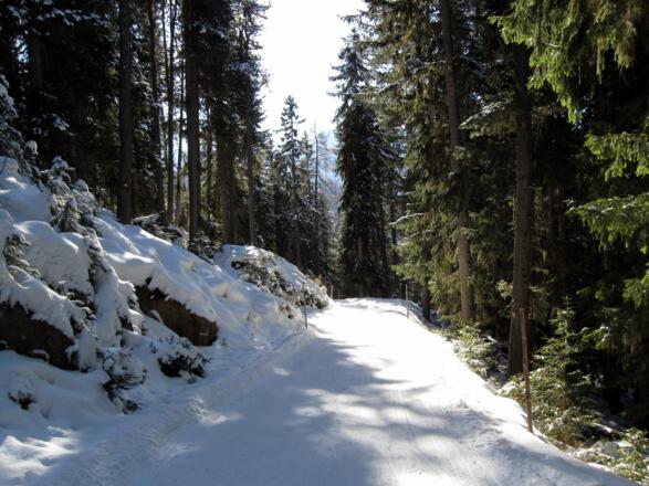 Unterhalb der Feldringalm erfolgt die Abfahrt zurück zum Parkplatz über die präparierte Rodelbahn.